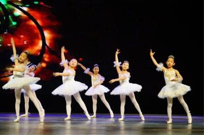 以音樂為媒，服務(wù)公益慈善——記2019耀中耀華國(guó)際教育機(jī)構(gòu)“希望種子”音樂會(huì)