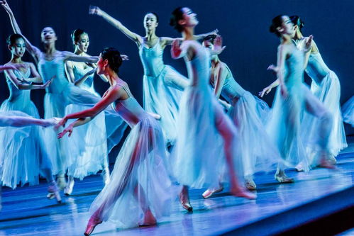 曼舞長寧 兒童舞蹈精品專場的藝術魅力與服務特色