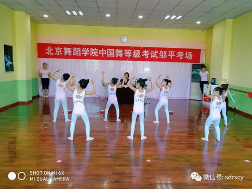 舞動少年夢，藝考新篇章——北京舞蹈學院教材少兒舞蹈考級鄒平站順利推進